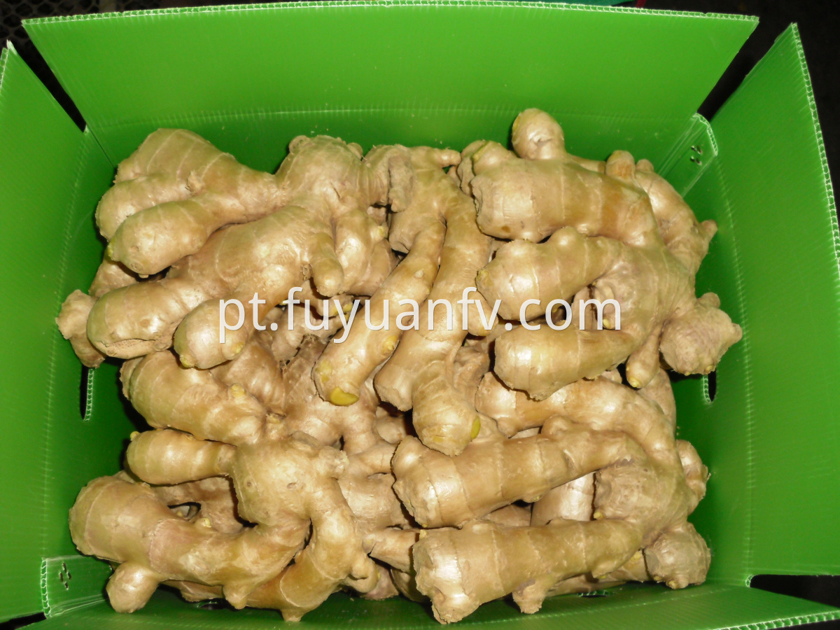 air dried ginger 